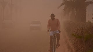 Top 10 most air polluted cities in India