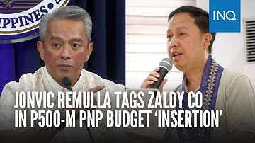 Jonvic Remulla tags Zaldy Co in P500-M PNP budget ‘insertion’