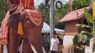 พิธีเซ่นปะกำช้าง