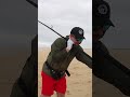 Whats Shark Fishing Like In South Africa Bronzewhaler 