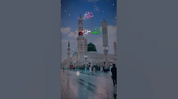 رخ مصطفی وہ کتاب ہے Islamicvideoshort Unfrez Shortsviral 