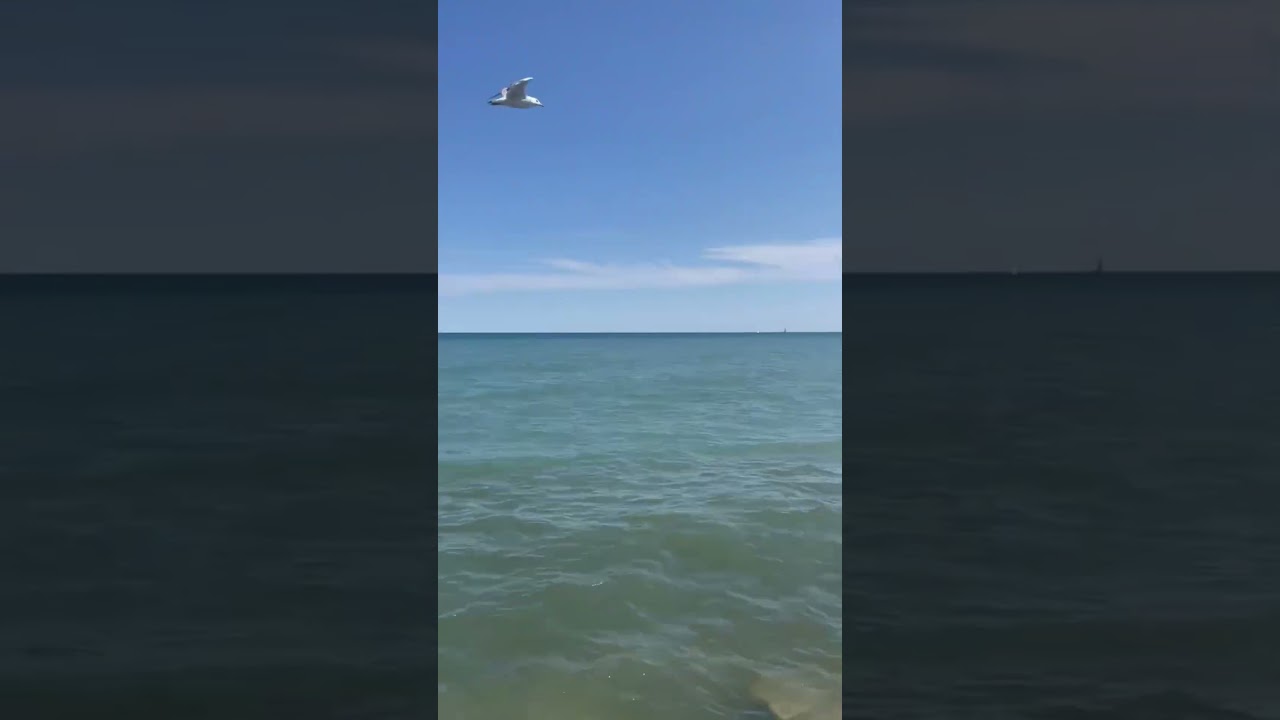 Beautiful sea beach in canada 