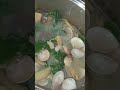 HALAAN TINOLA RECIPE