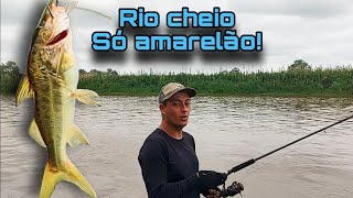 Com rio cheio é assim, só bigodão amarelo!!! 🙌