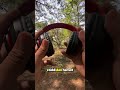 🔥 Headphone Bluetooth B39 PRO - Gaya Maksimal, Bass Super Tebal! 🔥