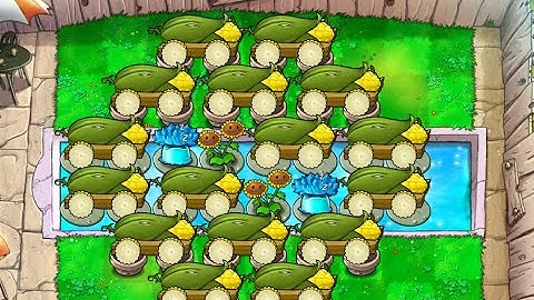 Tai Chi 16 Cob | Survival Endless