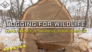 Logging For Wildlife | Big CHANGES + MONEY + HABITAT...
