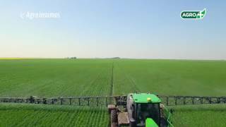 Vt Agroinsumos - English Version