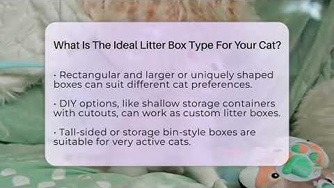 What Is The Ideal Litter Box Type For Your Cat? - Happy Cat Handbook