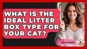 What Is The Ideal Litter Box Type For Your Cat? - Happy Cat Handbook