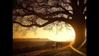 Amazing grace   Aaron Neville