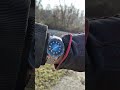 Rado Captain Cook 39 mm On 6.7 inch Wrist + Heron Catching Crayfish.