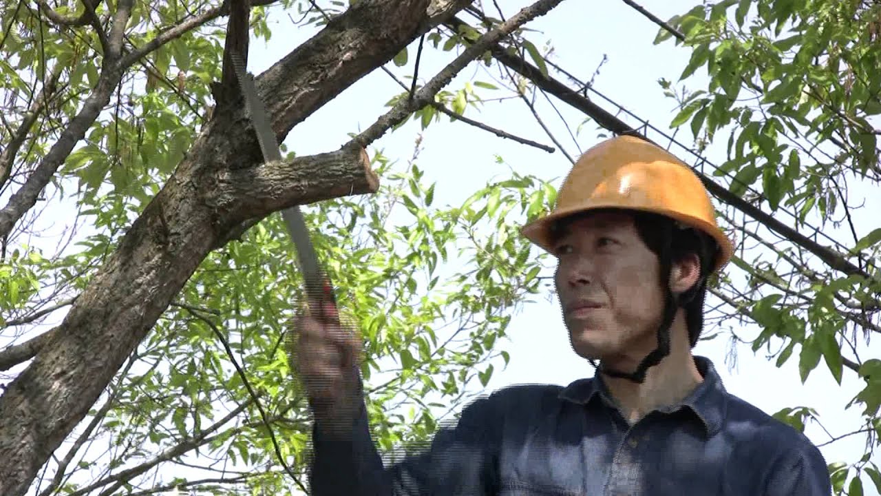 けしごむたろう ゴム太郎 荒目 GOMTARO | 世界一の切れ味を目指して 鋸メーカー