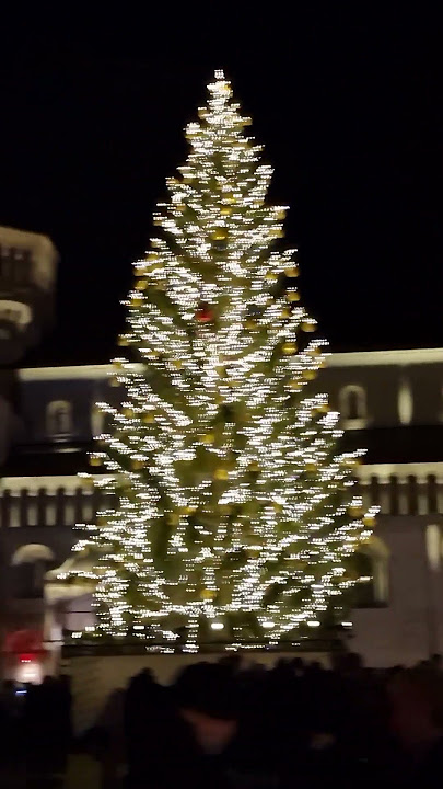 Natale 2023 Trento Italy🎄🎄🎄