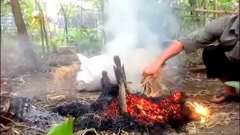 Cá Lóc Nướng Rơm - Đặc Sản Miền Tây