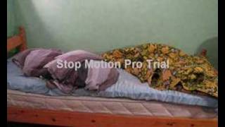 A bed that makes itself (Stop motion)