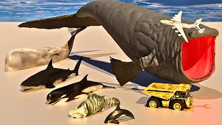 3D Sea Monsters Size Comparison 2024