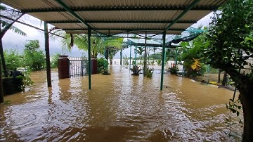 Lên Gác Tránh Lũ & Toàn Cảnh Nước Ngập Mênh Mông Nhà Mít 