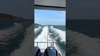 Phe Phe Island #trending #travel #youtubeshorts #viralshort #thailand
