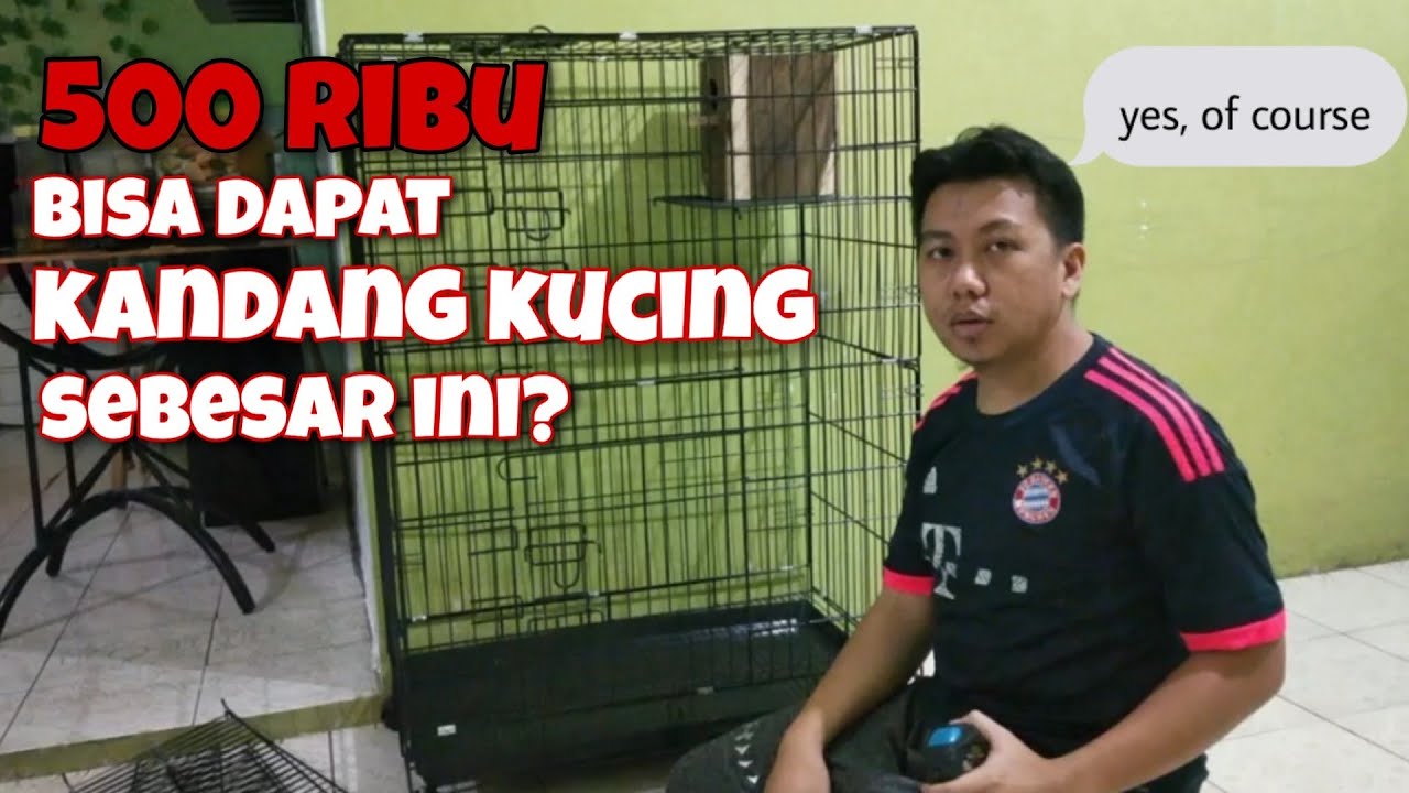 Unboxing dan Review Kandang Kucing untuk Burung Lovebird, Harga 500
