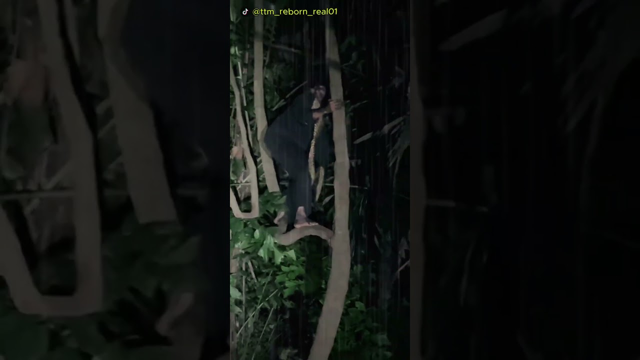 DUKUN LAKNAT INI YANG MENYANTET WAK HENDRIK SAMPAI MENGELUARKAN JARUM‼️