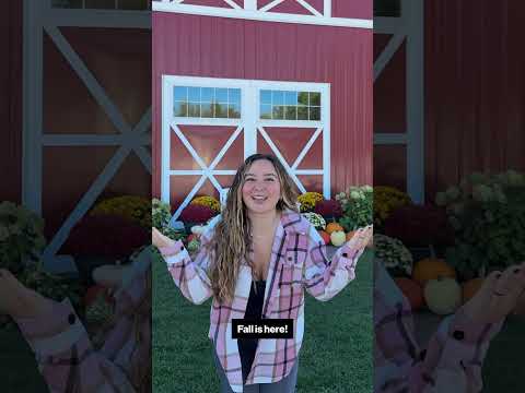 Explore the Roc | Wickham Farms