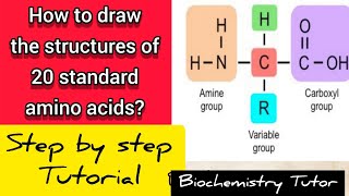 Draw the structure of 20 standard amino acids easily#youtube