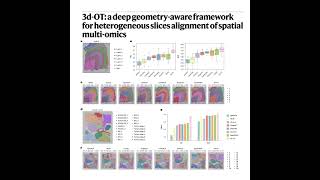 Celebrity 772-3d-OT: Geometry-Aware Framework for Spatial Alignment Profile