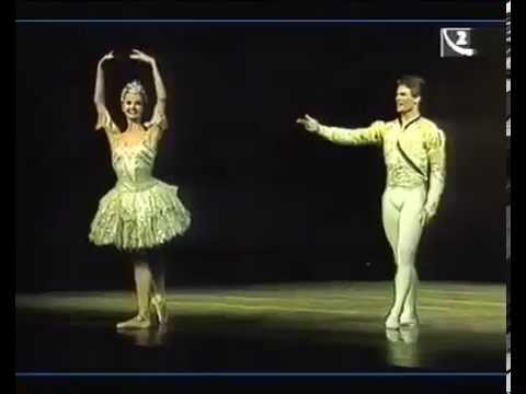Sleeping Beauty pas de deux 3 Act Eva Pettersova Gregor Hatala