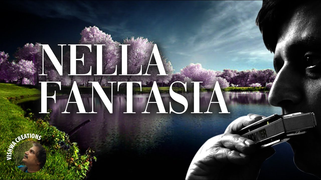 Nella Fantasia (Gabriel's oboe) Harmonica Cover Anand Godbole YouTube