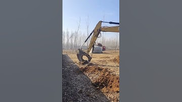 Tool extraction roots trees