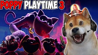OBIT DI TEROR MONSTER CATNAP!! - Poppy Playtime Indonesia - Chapter 3 Part 1