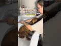 Твое эффективное средство, на осень 🍂WB: 500356633 Шампунь Глубокой очистки