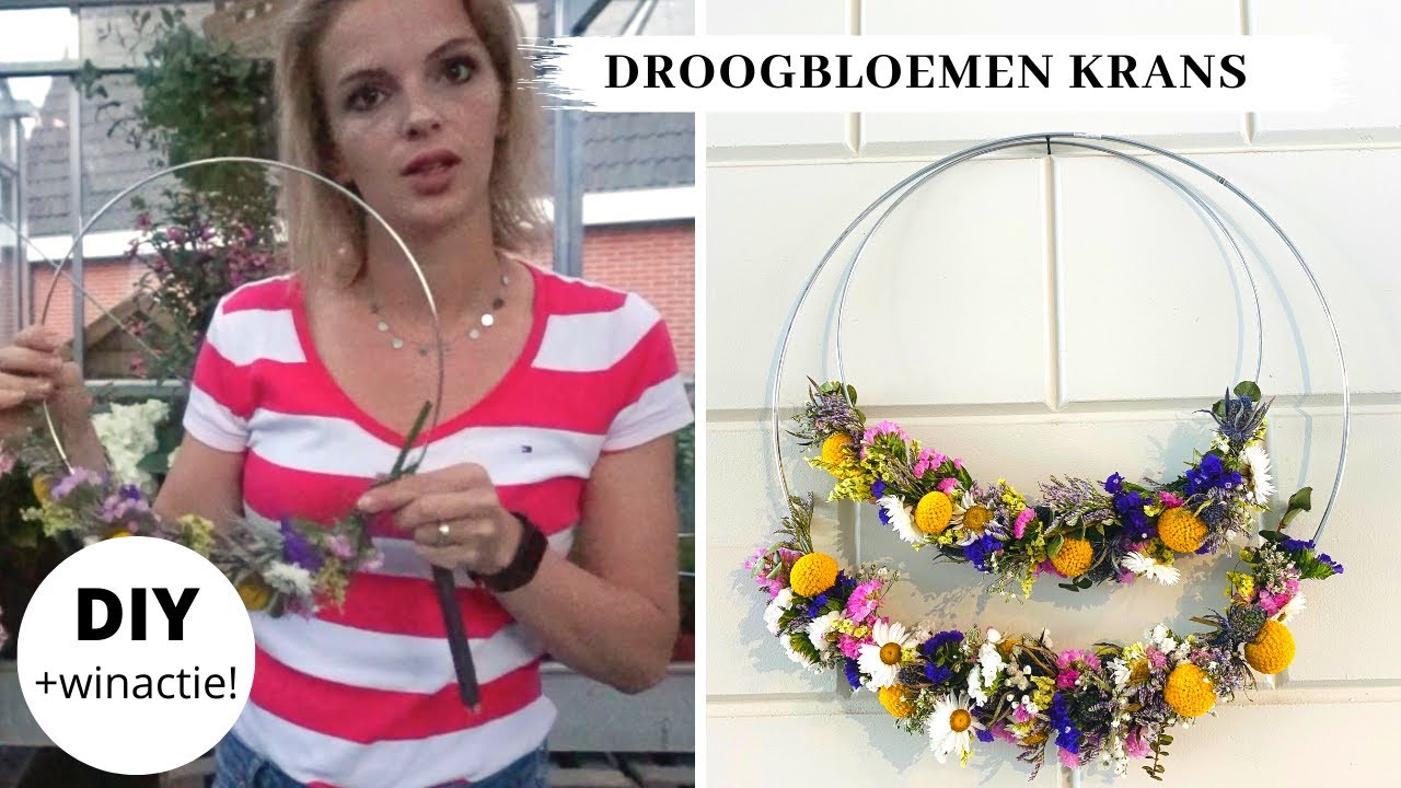 720 stuks kleine gedroogde bloemen, mini-takken, kleine stervormige
