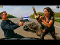 Craziest Moments Cops Face Off With 2025 Most Feared Criminals! Dashcam Compilation #3