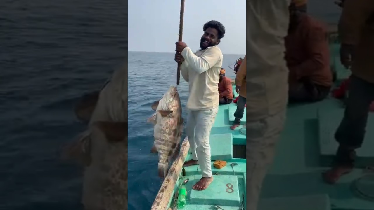 #fish #Fisherman #🌊🌫️ #beachfishing #fishing #fishingmethods #fishingtechniques #fishing