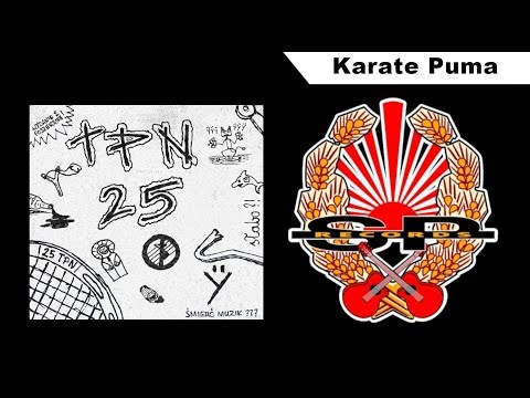 Karate Puma