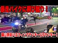 岡山駅前のハロウィンの様子！一時騒然！大群衆の若者と警察が揉み合い !?怒号が飛び交う！警察24時レベル！「まるで無法地帯」