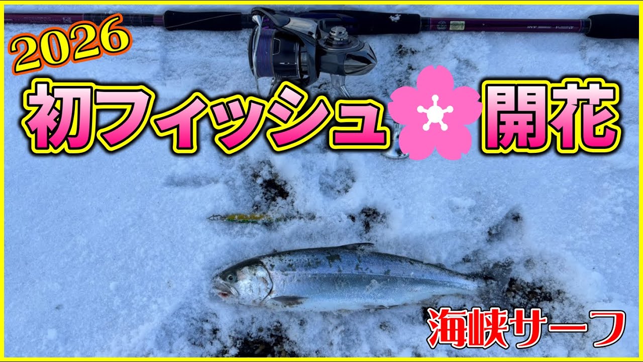 【北海道海峡サーフ2026】知内エリア&下海岸エリア：今季初フィッシングでサクラ開花！