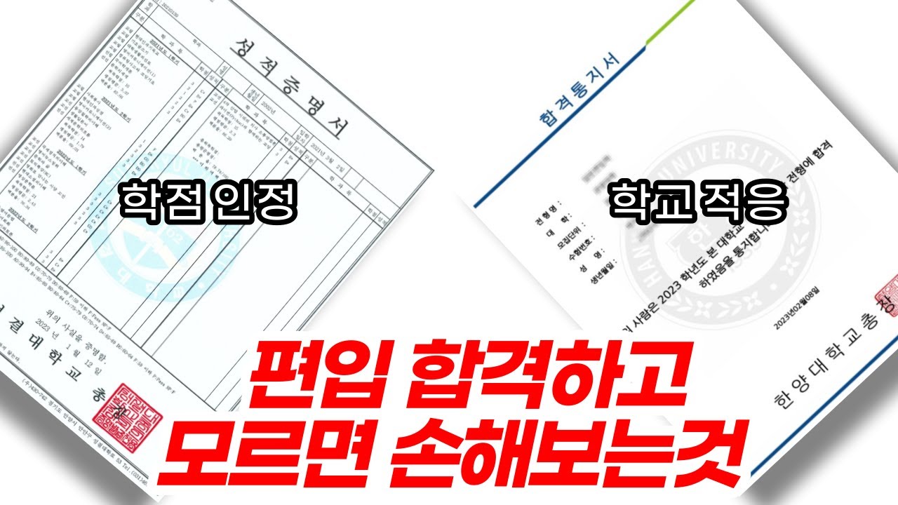 편입 하고나서, 가만히 있으면 절대 적응못해요 (정말 중요한 3가지)