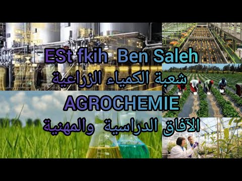 المدرسة العليا التكنولوجيا فقيه بن صالح شعبة الكمياء الزراعية الآفاق الدراسية و المهنية