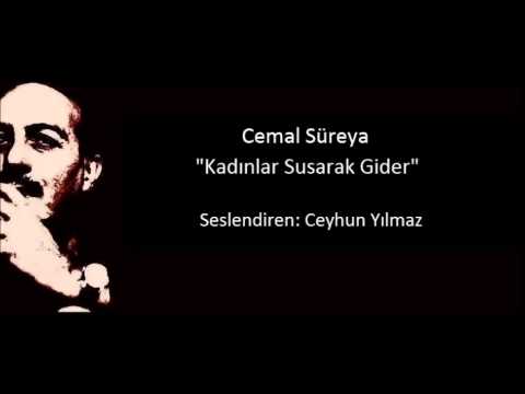 Cemal Süreya - Kadınlar Susarak Gider