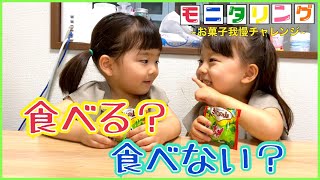 【モニタリング】お菓子我慢チャレンジさぁゆうひなたはどうする⁉