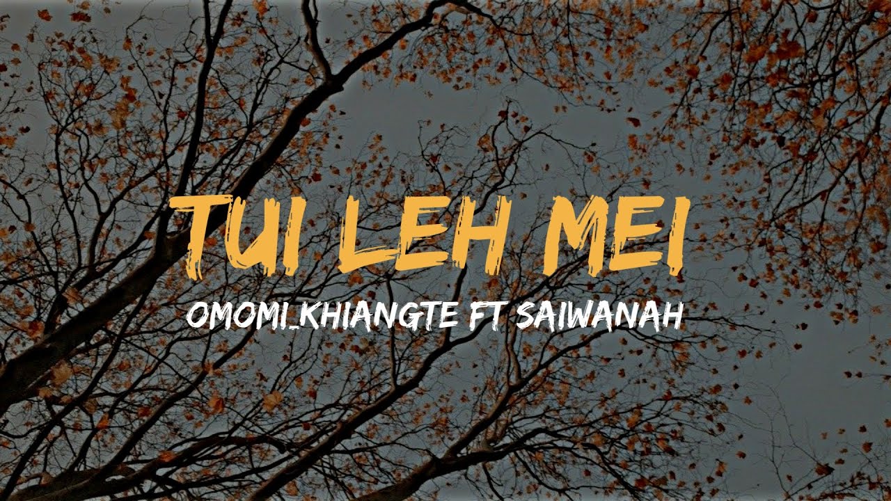 TUI LEH MEI Lyric video omomi ft saiwanah