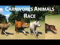 Carnivores Category Speed Race in Planet Zoo Part 1 Including Bengal Tiger Cheetah Arctic Wolf Dingo