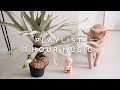[Playlist]昼からテンションを上げたい時のポップな洋楽🕺♪