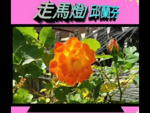 走馬燈 ..........邱蘭芬
