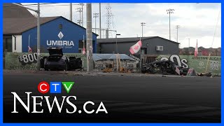 Underage driver charged after second person dies following weekend collision in Toronto