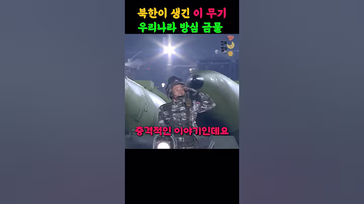 북한이 러시아 무기 받았다? 충격적인 방공 시스템 판치르