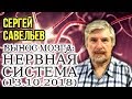 «ВЫНОС МОЗГА #60»: «Нервная система». 13.10.2018. Савельев С.В.